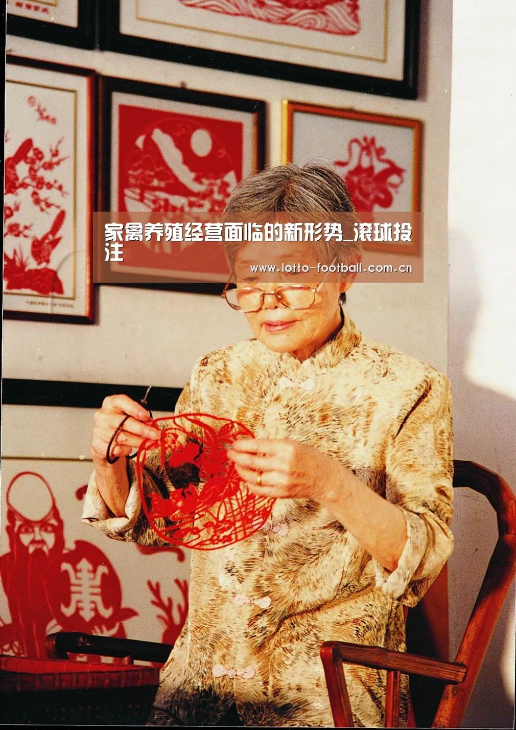 家禽养殖经营面临的新形势_滚球投注