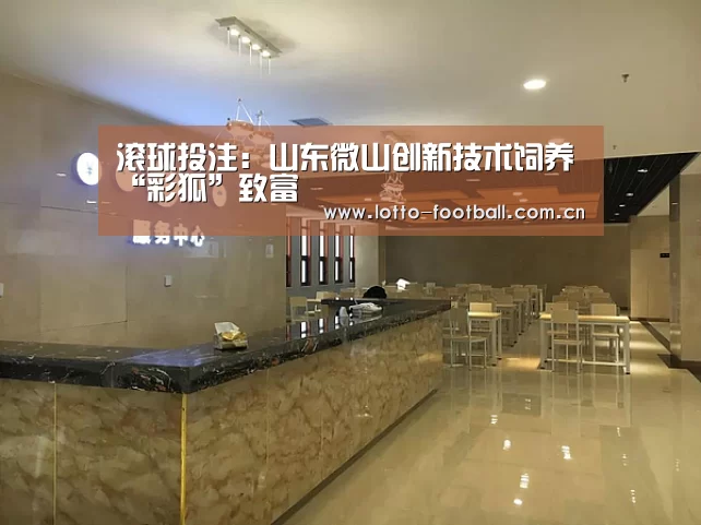滚球投注