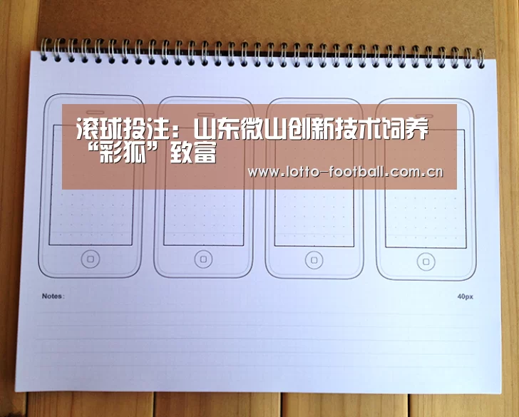 滚球投注