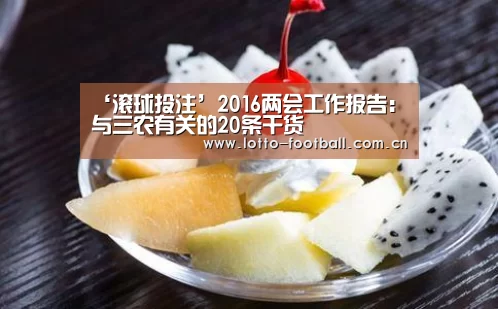 ‘滚球投注’2016两会工作报告:与三农有关的20条干货(图3) 足球下注
