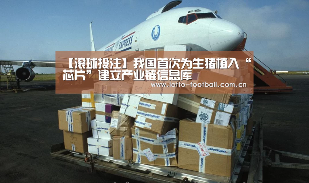 【滚球投注】我国首次为生猪植入“芯片”建立产业链信息库(图3) 足球下注