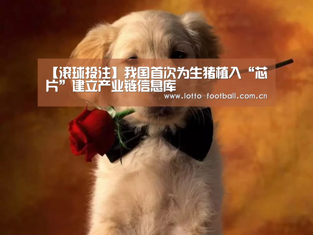 【滚球投注】我国首次为生猪植入“芯片”建立产业链信息库(图4) 滚球投注